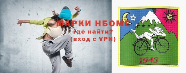 гашик Аркадак