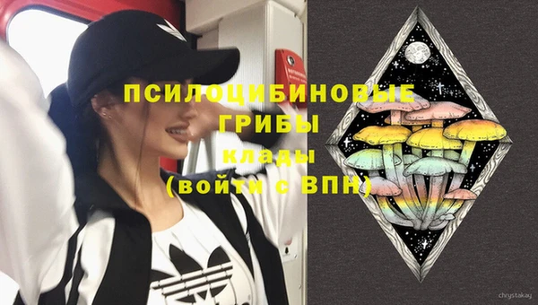 а пвп мука Арсеньев