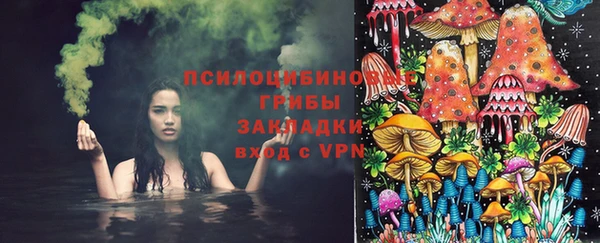 гашик Аркадак