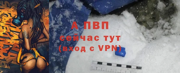 гашик Аркадак